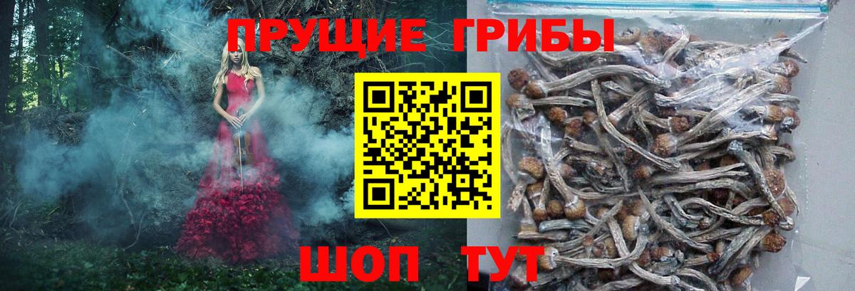 Галлюциногенные грибы прущие грибы  Вход с VPN  Котельники  Галлюциногенные грибы Magic Shrooms 